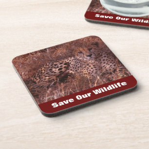 Cheetah Stare Save Our Wildlife Coaster
