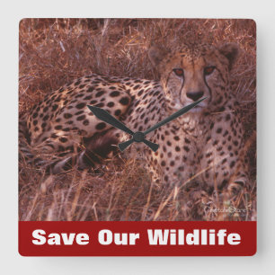 Cheetah Stare Square Wall Clock