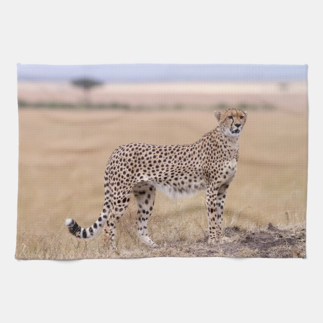 Cheetah Tea Towel (Horizontal)