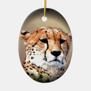 Cheetah Tear Marks Hakunamatata Ceramic Tree Decoration
