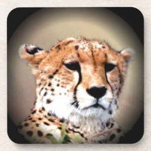Cheetah Tear Marks Hakunamatata Coaster