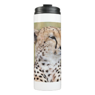 Cheetah Thermal Tumbler