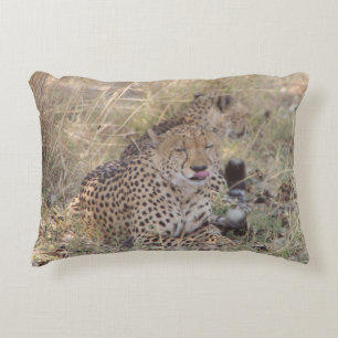 Cheetah tongue pillow