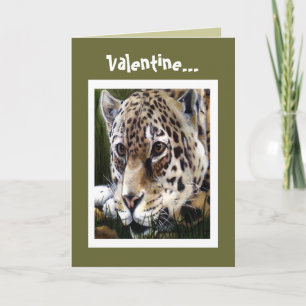Cheetah Valentine Card