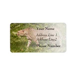 Cheetah Walking In A Field, Animal Photography Label