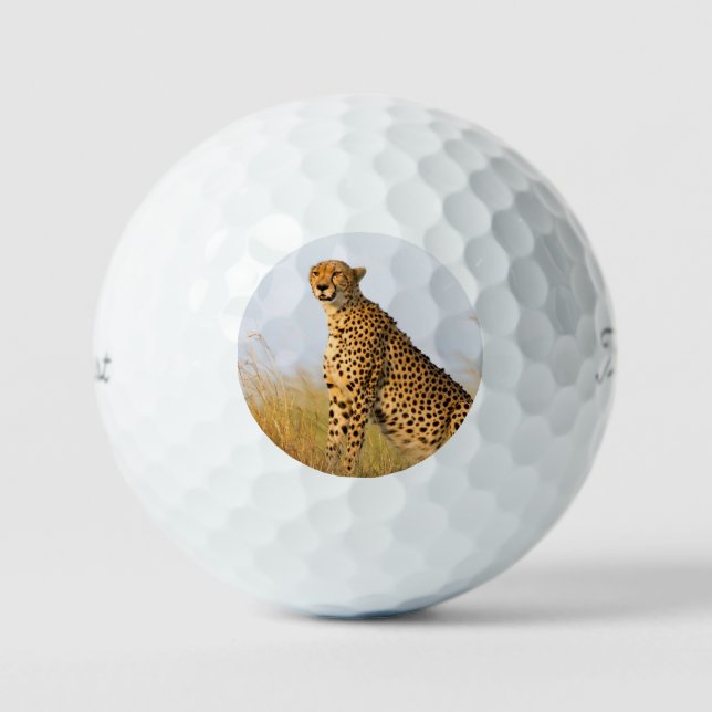 Cheetah wild animal Big Cat photo Golf Balls (Front)
