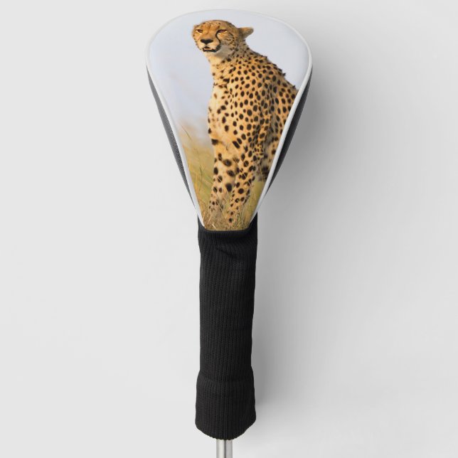 Cheetah wild animal Big Cat photo Golf Head Cover (Front)