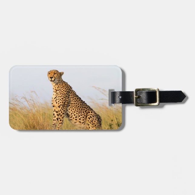 Cheetah wildlife photography Africa Safari animal Luggage Tag (Front Horizontal)