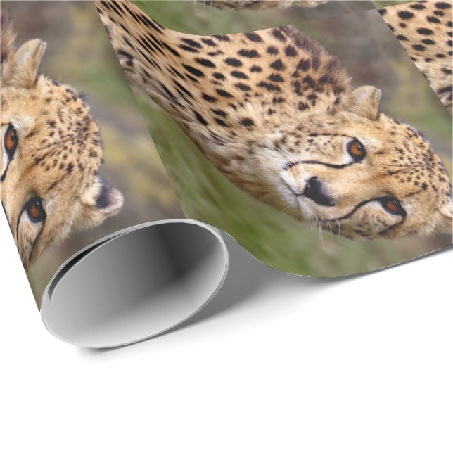 Cheetah Wrapping Paper (Roll Corner)