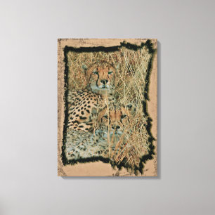 Cheetahs Canvas Print