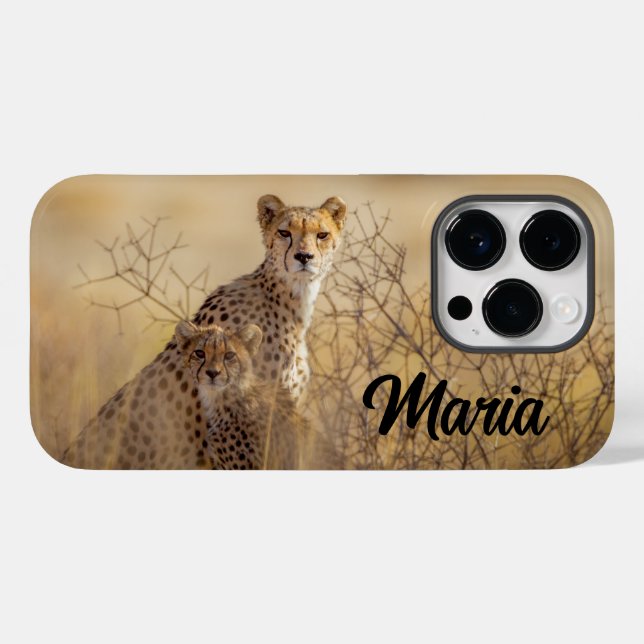 Cheetahs Case-Mate iPhone case  (Back (Horizontal))