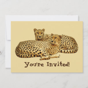 Cheetahs Invitation