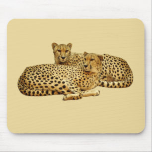 Cheetahs Mouse Mat