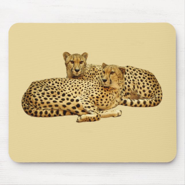 Cheetahs Mouse Mat (Front)