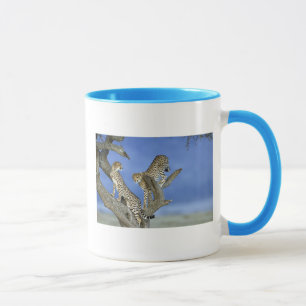 Cheetahs Mug