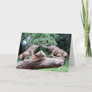 Cheetahs Tails Crossed Card