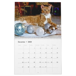 Cheeto Dacutecat 2020 Calendar
