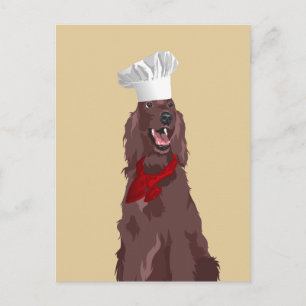 Chef Irish Red Setter Dog for Dog Lovers Postcard