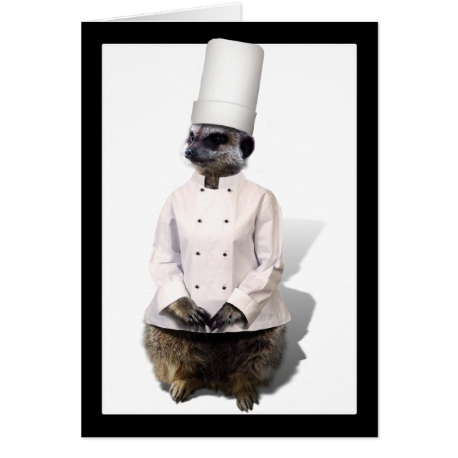 Chef Meerkat (Front)