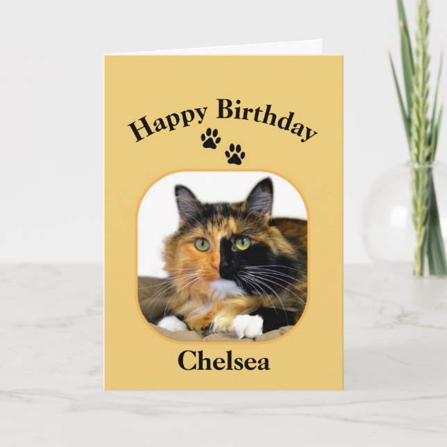Chelsea Calico Cat Happy Birthday Card (Front)