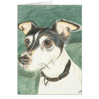 Chelsea fox terrier.