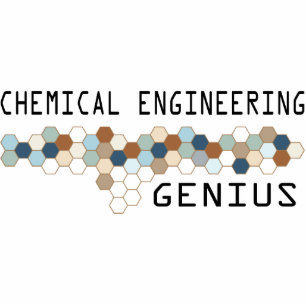 Chemical Engineering Genius Photo Sculpture Decoration