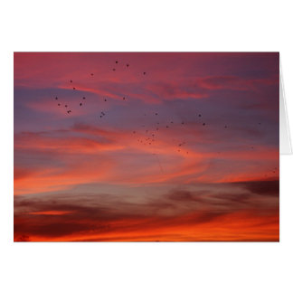 Chemical skies 6