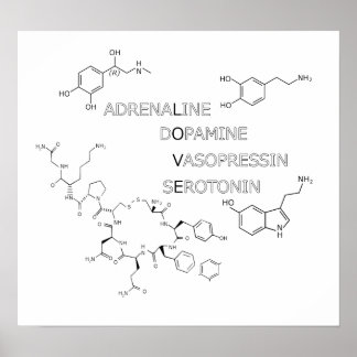 Chemical Structure Love Geek Poster