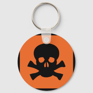 chemist skull sign key ring