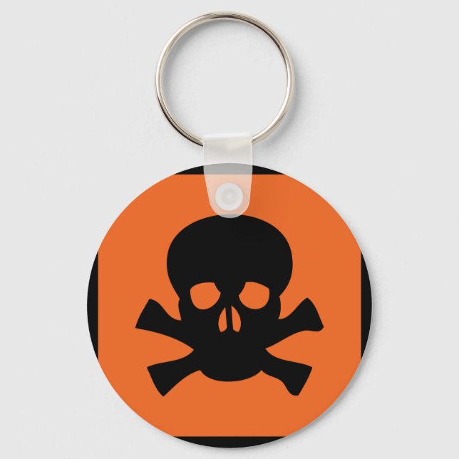 chemist skull sign key ring (Front)
