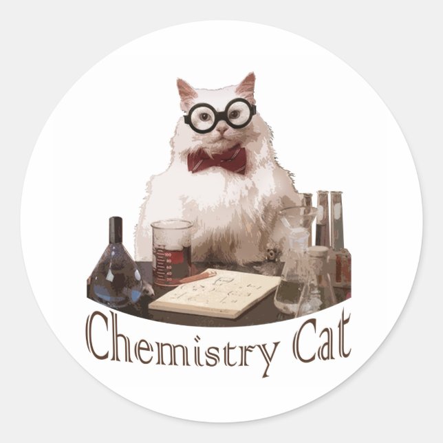 Chemistry Cat (from 9gag memes reddit) Classic Round Sticker (Front)