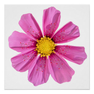 Chemistry Flower Science Classroom Wall Decor