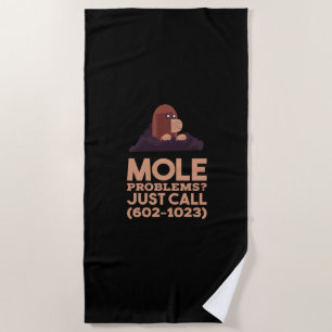 Chemistry - Mole Problems Beach Towel