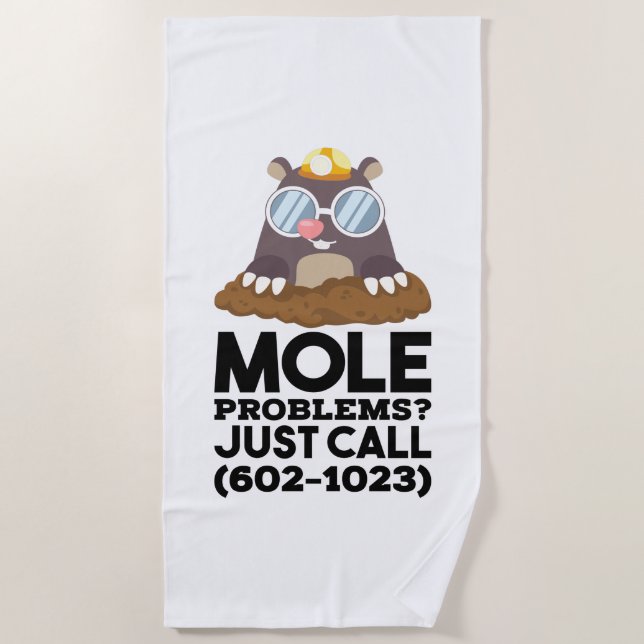 Chemistry - Mole Problems  Beach Towel (Front)