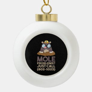 Chemistry - Mole Problems Ceramic Ball Christmas Ornament