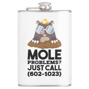 Chemistry - Mole Problems  Hip Flask