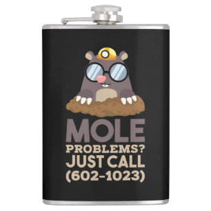 Chemistry - Mole Problems Hip Flask
