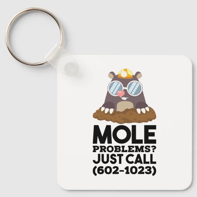 Chemistry - Mole Problems  Key Ring (Front)