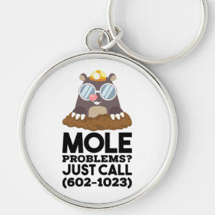 Chemistry - Mole Problems Key Ring