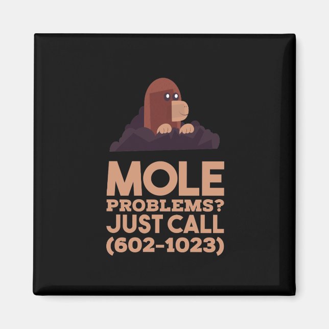 Chemistry - Mole Problems Magnet (Front)