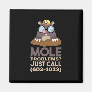 Chemistry - Mole Problems Magnet