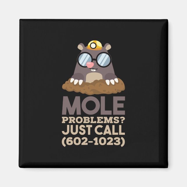 Chemistry - Mole Problems Magnet (Front)
