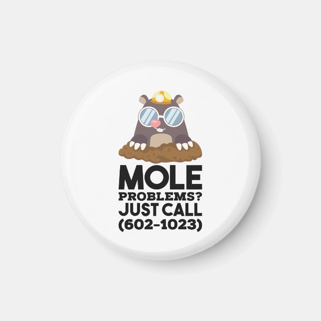 Chemistry - Mole Problems Magnet (Front)