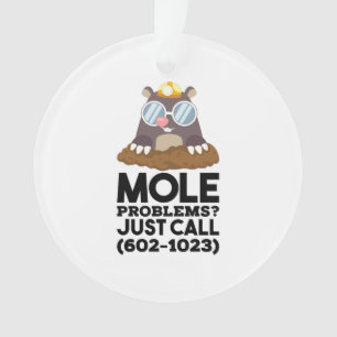 Chemistry - Mole Problems  Ornament