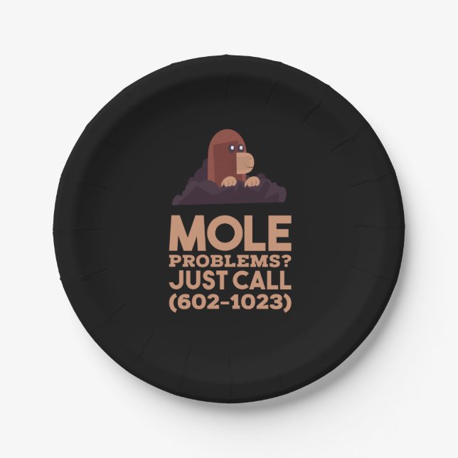 Chemistry - Mole Problems Paper Plate (Front)