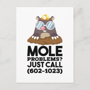 Chemistry - Mole Problems Postcard