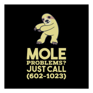 Chemistry - Mole Problems Poster