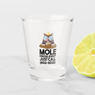 Chemistry - Mole Problems Shot Glass