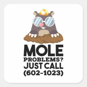 Chemistry - Mole Problems  Square Sticker