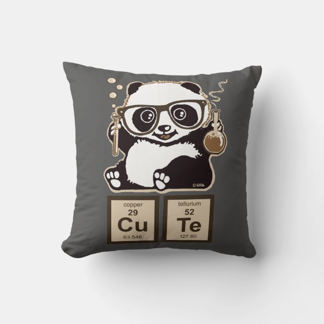 Chemistry panda discovered cute cushion (Front)
